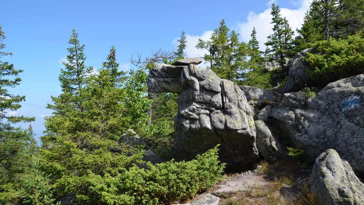 Долина сказок таганай фото