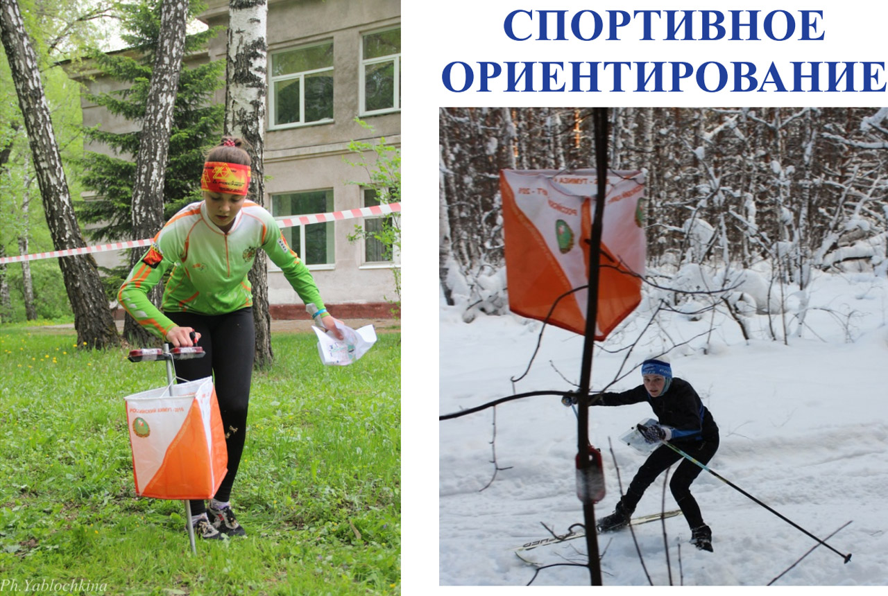 Новоорловский парк спортивное ориентирование